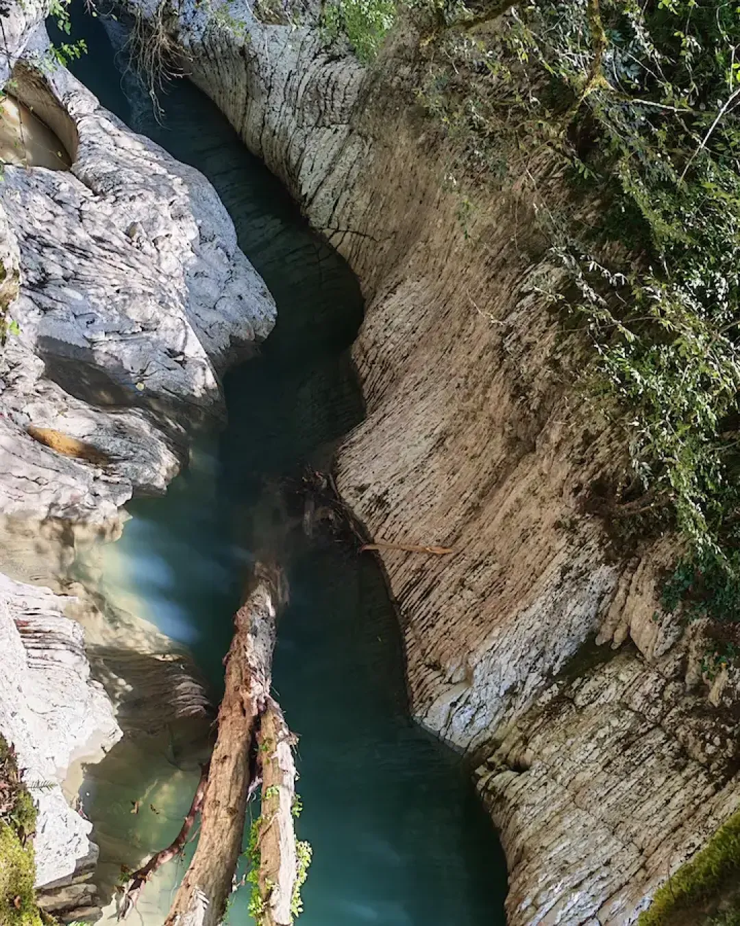 Агурское ущелье и Змейковские водопады — фото 16